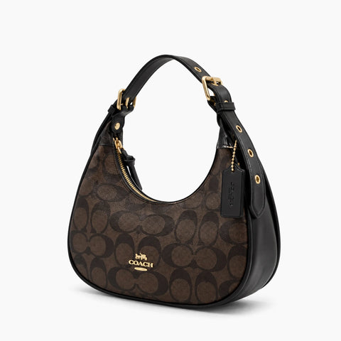 Coach Signature Hobo Bag: Marron
